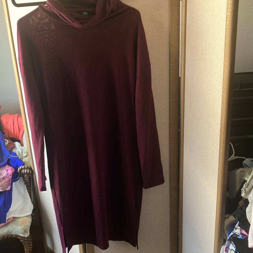 FINAL MARKDOWN Dip Eco-Friendly Maroon Dress xs